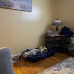 Bedsure Orthopedic Dog Beds Large Sized Dog - Washable Large Dog Cat Bed Waterproof. Comfort Dogs Couch Sofa with Washable Removable Cover. Pet Bed with Nonskid Bottom. Grey. 35 photo review