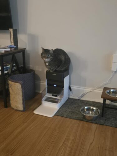 PETLIBRO RFID Automatic Cat Feeder. Collar Tag-Activated Personalized Meals. 5G&2.4G Wi-Fi Programmable Cat Food Dispenser with Cats Recognition & Diet Tracking for Multi-Pet Homes and Different Diets photo review