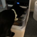 PETLIBRO RFID Automatic Cat Feeder. Collar Tag-Activated Personalized Meals. 5G&2.4G Wi-Fi Programmable Cat Food Dispenser with Cats Recognition & Diet Tracking for Multi-Pet Homes and Different Diets photo review