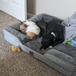 Bedsure Orthopedic Dog Beds Large Sized Dog - Washable Large Dog Cat Bed Waterproof. Comfort Dogs Couch Sofa with Washable Removable Cover. Pet Bed with Nonskid Bottom. Grey. 35 photo review