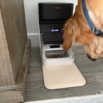 PETLIBRO RFID Automatic Cat Feeder. Collar Tag-Activated Personalized Meals. 5G&2.4G Wi-Fi Programmable Cat Food Dispenser with Cats Recognition & Diet Tracking for Multi-Pet Homes and Different Diets photo review