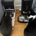 PETLIBRO RFID Automatic Cat Feeder. Collar Tag-Activated Personalized Meals. 5G&2.4G Wi-Fi Programmable Cat Food Dispenser with Cats Recognition & Diet Tracking for Multi-Pet Homes and Different Diets photo review