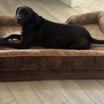 Bedsure Orthopedic Dog Beds Large Sized Dog - Washable Large Dog Cat Bed Waterproof. Comfort Dogs Couch Sofa with Washable Removable Cover. Pet Bed with Nonskid Bottom. Grey. 35 photo review
