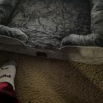 Bedsure Orthopedic Dog Beds Large Sized Dog - Washable Large Dog Cat Bed Waterproof. Comfort Dogs Couch Sofa with Washable Removable Cover. Pet Bed with Nonskid Bottom. Grey. 35 photo review