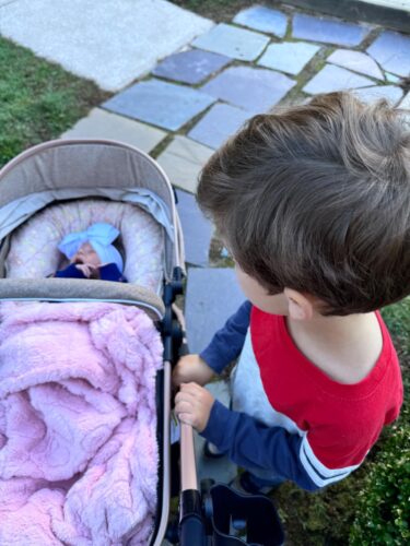 2-in-1 Baby Stroller with Bassinet Mode - Folding Infant Newborn Pram Stroller with Reversible Seat - Toddler Strollers for 0-36 Months Old Babies (Gery) photo review