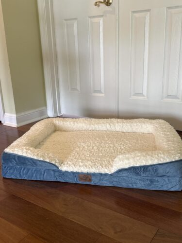 Bedsure Orthopedic Dog Beds Large Sized Dog - Washable Large Dog Cat Bed Waterproof. Comfort Dogs Couch Sofa with Washable Removable Cover. Pet Bed with Nonskid Bottom. Grey. 35 photo review