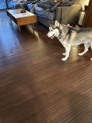 Tineco iFLOOR 3 Breeze Complete Wet Dry Vacuum Cordless Floor Cleaner and Mop One-Step Cleaning for Hard Floors photo review