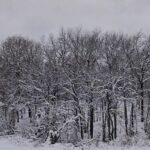 DJI Neo. Mini Drone with 4K UHD Camera for Adults. 135g Self Flying Drone that Follows You. Palm Takeoff. Subject Tracking. QuickShots. Stabilized Video. Built-In Propeller Guard (Controller-Free) photo review