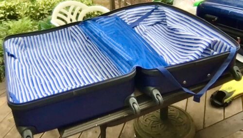 Delsey Luggage Aero 2 Piece Set (21 & 25) Spinner Suitcase (Titanium) photo review