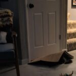 Greater Goods Digital Food Scale for Kitchen & Baking. 10kg/22lb High-Capacity Weight Scale with 1g Precision. Stainless Steel Platform. Hi-Def LCD. Ideal for Bread. Sourdough & Bulk Cooking photo review