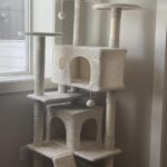 Yaheetech 54in Cat Tree. Multi-Level Cat Tower with Spacious Kitten-ear Perch. 2 Cozy Caves. Scratching Posts. Climbing Ladder. 2 Plush Balls. Durable Pet House Furniture for Indoor Kittens. Dark Gray photo review