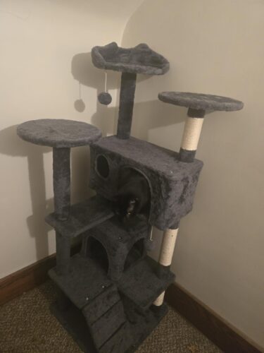 Yaheetech 54in Cat Tree. Multi-Level Cat Tower with Spacious Kitten-ear Perch. 2 Cozy Caves. Scratching Posts. Climbing Ladder. 2 Plush Balls. Durable Pet House Furniture for Indoor Kittens. Dark Gray photo review