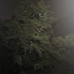 Tuffenough Solar Outdoor Lights 2500LM 210 LED Security Lights with Remote Control.3 Heads Motion Sensor Lights. IP65 Waterproof.270° Wide Angle Flood Wall Lights with 3 Modes(2 Packs) photo review