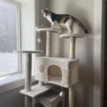 Yaheetech 54in Cat Tree. Multi-Level Cat Tower with Spacious Kitten-ear Perch. 2 Cozy Caves. Scratching Posts. Climbing Ladder. 2 Plush Balls. Durable Pet House Furniture for Indoor Kittens. Dark Gray photo review