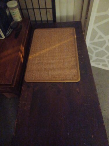 Greater Goods Digital Food Scale for Kitchen & Baking. 10kg/22lb High-Capacity Weight Scale with 1g Precision. Stainless Steel Platform. Hi-Def LCD. Ideal for Bread. Sourdough & Bulk Cooking photo review