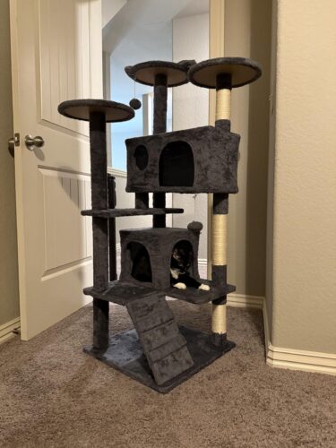 Yaheetech 54in Cat Tree. Multi-Level Cat Tower with Spacious Kitten-ear Perch. 2 Cozy Caves. Scratching Posts. Climbing Ladder. 2 Plush Balls. Durable Pet House Furniture for Indoor Kittens. Dark Gray photo review