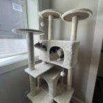 Yaheetech 54in Cat Tree. Multi-Level Cat Tower with Spacious Kitten-ear Perch. 2 Cozy Caves. Scratching Posts. Climbing Ladder. 2 Plush Balls. Durable Pet House Furniture for Indoor Kittens. Dark Gray photo review