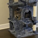 Yaheetech 54in Cat Tree. Multi-Level Cat Tower with Spacious Kitten-ear Perch. 2 Cozy Caves. Scratching Posts. Climbing Ladder. 2 Plush Balls. Durable Pet House Furniture for Indoor Kittens. Dark Gray photo review