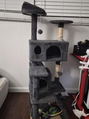 Yaheetech 54in Cat Tree. Multi-Level Cat Tower with Spacious Kitten-ear Perch. 2 Cozy Caves. Scratching Posts. Climbing Ladder. 2 Plush Balls. Durable Pet House Furniture for Indoor Kittens. Dark Gray photo review