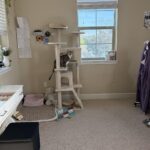 Yaheetech 54in Cat Tree. Multi-Level Cat Tower with Spacious Kitten-ear Perch. 2 Cozy Caves. Scratching Posts. Climbing Ladder. 2 Plush Balls. Durable Pet House Furniture for Indoor Kittens. Dark Gray photo review