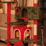 Yaheetech 54in Cat Tree. Multi-Level Cat Tower with Spacious Kitten-ear Perch. 2 Cozy Caves. Scratching Posts. Climbing Ladder. 2 Plush Balls. Durable Pet House Furniture for Indoor Kittens. Dark Gray photo review