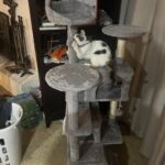 Yaheetech 54in Cat Tree. Multi-Level Cat Tower with Spacious Kitten-ear Perch. 2 Cozy Caves. Scratching Posts. Climbing Ladder. 2 Plush Balls. Durable Pet House Furniture for Indoor Kittens. Dark Gray photo review