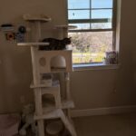 Yaheetech 54in Cat Tree. Multi-Level Cat Tower with Spacious Kitten-ear Perch. 2 Cozy Caves. Scratching Posts. Climbing Ladder. 2 Plush Balls. Durable Pet House Furniture for Indoor Kittens. Dark Gray photo review