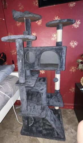 Yaheetech 54in Cat Tree. Multi-Level Cat Tower with Spacious Kitten-ear Perch. 2 Cozy Caves. Scratching Posts. Climbing Ladder. 2 Plush Balls. Durable Pet House Furniture for Indoor Kittens. Dark Gray photo review