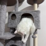 Yaheetech 54in Cat Tree. Multi-Level Cat Tower with Spacious Kitten-ear Perch. 2 Cozy Caves. Scratching Posts. Climbing Ladder. 2 Plush Balls. Durable Pet House Furniture for Indoor Kittens. Dark Gray photo review