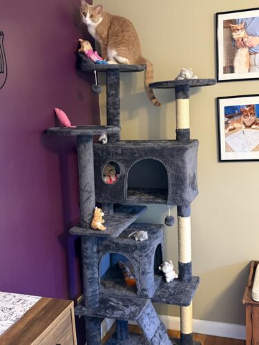 Yaheetech 54in Cat Tree. Multi-Level Cat Tower with Spacious Kitten-ear Perch. 2 Cozy Caves. Scratching Posts. Climbing Ladder. 2 Plush Balls. Durable Pet House Furniture for Indoor Kittens. Dark Gray photo review