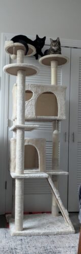 Yaheetech 54in Cat Tree. Multi-Level Cat Tower with Spacious Kitten-ear Perch. 2 Cozy Caves. Scratching Posts. Climbing Ladder. 2 Plush Balls. Durable Pet House Furniture for Indoor Kittens. Dark Gray photo review