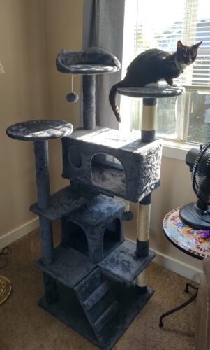 Yaheetech 54in Cat Tree. Multi-Level Cat Tower with Spacious Kitten-ear Perch. 2 Cozy Caves. Scratching Posts. Climbing Ladder. 2 Plush Balls. Durable Pet House Furniture for Indoor Kittens. Dark Gray photo review