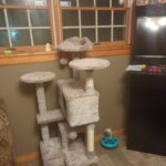 Yaheetech 54in Cat Tree. Multi-Level Cat Tower with Spacious Kitten-ear Perch. 2 Cozy Caves. Scratching Posts. Climbing Ladder. 2 Plush Balls. Durable Pet House Furniture for Indoor Kittens. Dark Gray photo review