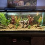 Jackery Portable Power Station Explorer 300. 293Wh Backup Lithium Battery. Solar Generator for Outdoors Camping Travel Hunting Blackout (Solar Panel Optional) photo review