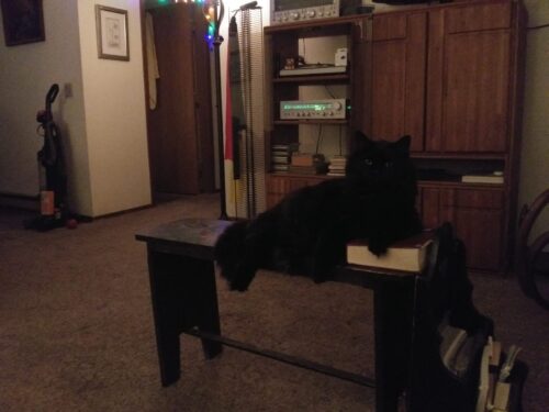 FUKUMARU Cat Scratcher Mat. 23.6 X 15.7 Inch Natural Sisal Cat Scratch Mats. Horizontal Cat Floor Scratching Pad Rug with Sticky Tapes. Protect Couch and Carpets photo review