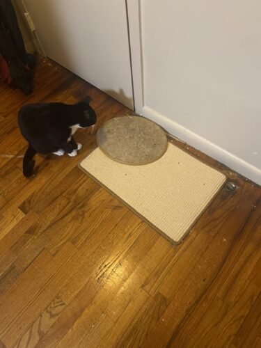 FUKUMARU Cat Scratcher Mat. 23.6 X 15.7 Inch Natural Sisal Cat Scratch Mats. Horizontal Cat Floor Scratching Pad Rug with Sticky Tapes. Protect Couch and Carpets photo review