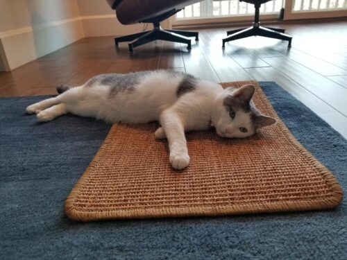FUKUMARU Cat Scratcher Mat. 23.6 X 15.7 Inch Natural Sisal Cat Scratch Mats. Horizontal Cat Floor Scratching Pad Rug with Sticky Tapes. Protect Couch and Carpets photo review