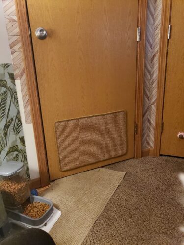 Greater Goods Digital Food Scale for Kitchen & Baking. 10kg/22lb High-Capacity Weight Scale with 1g Precision. Stainless Steel Platform. Hi-Def LCD. Ideal for Bread. Sourdough & Bulk Cooking photo review