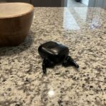 TAGRY Bluetooth Headphones True Wireless Earbuds 60H Playback LED Power Display Earphones with Wireless Charging Case IPX5 Waterproof in-Ear Ear buds with Mic for TV Smart Phone Laptop Computer Sports photo review