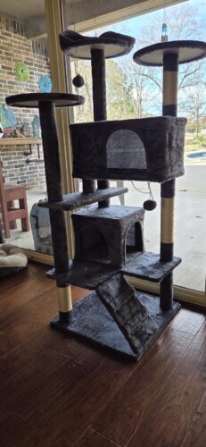 Yaheetech 54in Cat Tree. Multi-Level Cat Tower with Spacious Kitten-ear Perch. 2 Cozy Caves. Scratching Posts. Climbing Ladder. 2 Plush Balls. Durable Pet House Furniture for Indoor Kittens. Dark Gray photo review