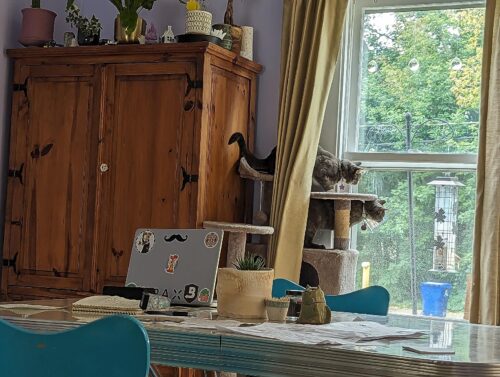 Yaheetech 54in Cat Tree. Multi-Level Cat Tower with Spacious Kitten-ear Perch. 2 Cozy Caves. Scratching Posts. Climbing Ladder. 2 Plush Balls. Durable Pet House Furniture for Indoor Kittens. Dark Gray photo review